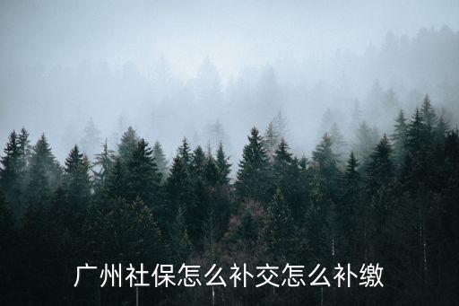 廣州社保怎么補交怎么補繳
