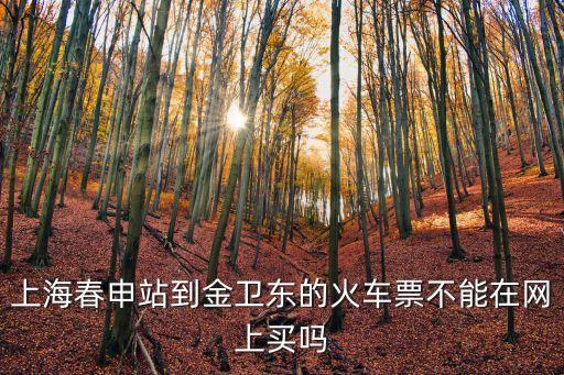 上海春申站到金衛東的火車票不能在網上買嗎