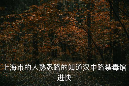 上海市的人熟悉路的知道漢中路禁毒館進快