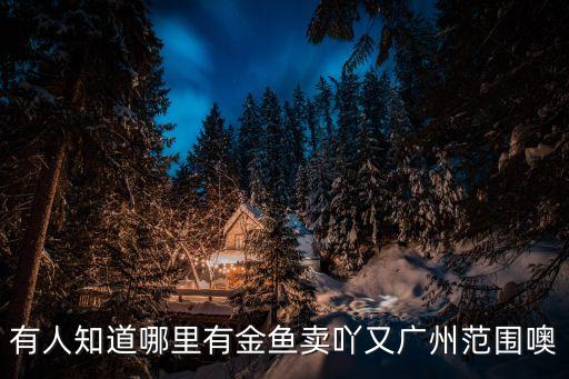 廣州金魚出售，請問廣東哪里有金魚批發(fā)