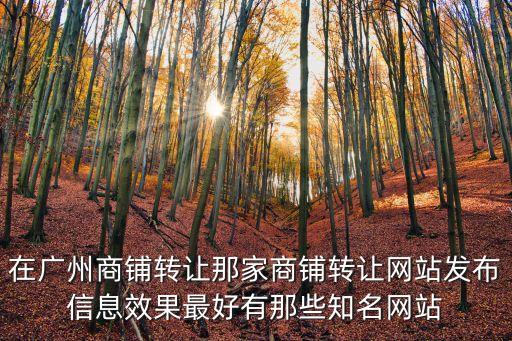 在廣州商鋪轉(zhuǎn)讓那家商鋪轉(zhuǎn)讓網(wǎng)站發(fā)布信息效果最好有那些知名網(wǎng)站
