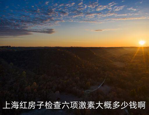 上海市紅房子孕前檢查套餐，上海紅房子醫院不孕不育檢查大約多少錢