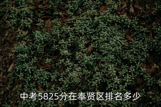 2018年上海市奉賢區中考，中考5825分在奉賢區排名多少