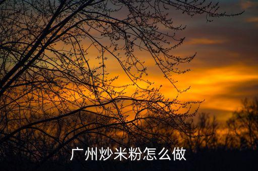 廣州正宗炒粉的做法視頻，廣州地攤炒米粉怎么做