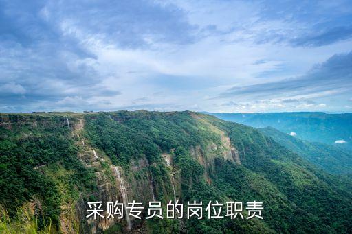采購專員工作職責，采購員的基本職責是什么