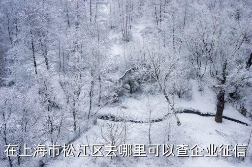 在上海市松江區去哪里可以查企業征信