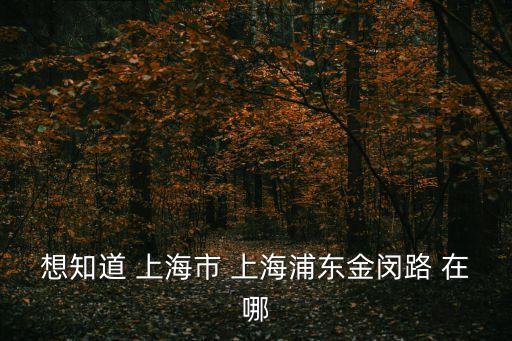 上海市金邊路，想知道上海市金沙路 在哪