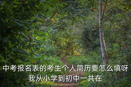 上海市中考簡(jiǎn)歷如何寫，上海初中升高中自主招生的個(gè)人簡(jiǎn)歷怎么寫