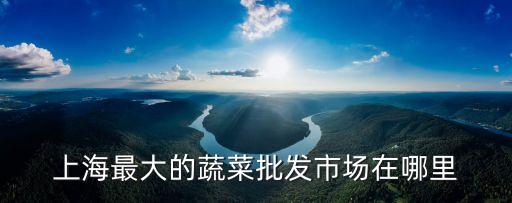 上海市場蔬菜，上海最大的蔬菜批發市場在哪個區