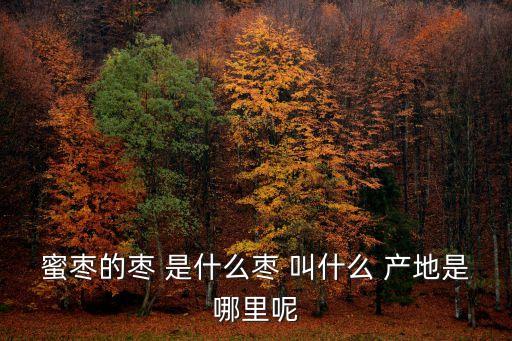 蜜棗的棗 是什么棗 叫什么 產地是哪里呢