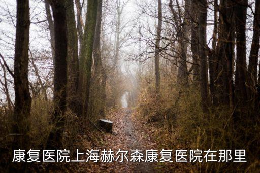 上海市松江赫爾森康復醫(yī)院，赫爾森康復醫(yī)院地址