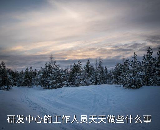 廣州信息化研發中心人員，研發中心的工作人員天天做些什么事