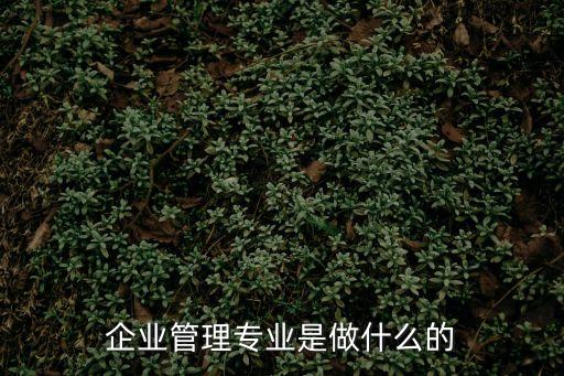 企業管理專業是做什么的