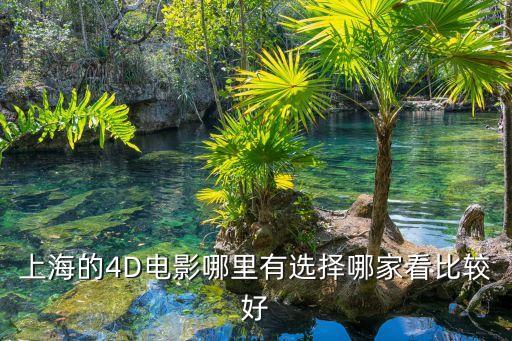 上海的4D電影哪里有選擇哪家看比較好