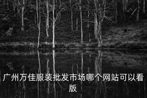 廣州萬佳服裝批發市場哪個網站可以看版