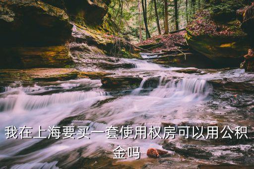 我在上海要買一套使用權(quán)房可以用公積金嗎