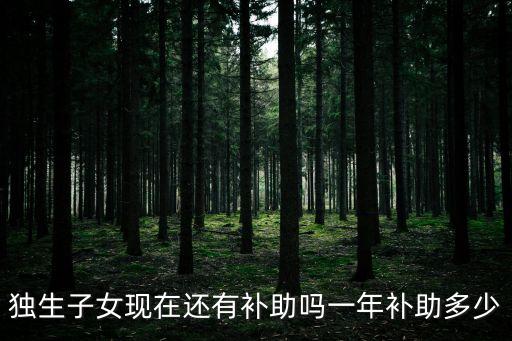 獨(dú)生子女現(xiàn)在還有補(bǔ)助嗎一年補(bǔ)助多少