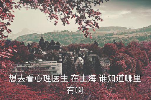 上海市精神衛(wèi)生 醫(yī)生，上海哪家醫(yī)院的心理醫(yī)生較好