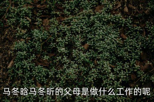 馬冬晗馬冬昕的父母是做什么工作的呢