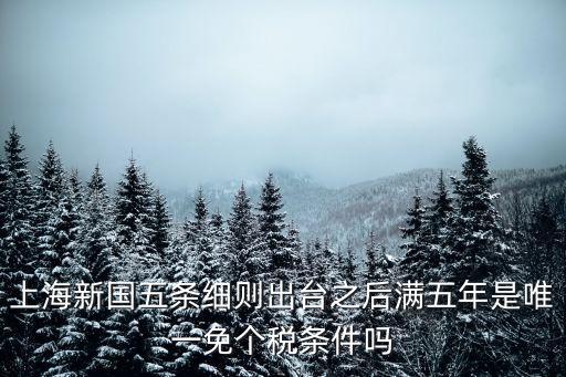 上海市個(gè)稅減免，上海新國五條細(xì)則出臺(tái)之后滿五年是唯一免個(gè)稅條件嗎