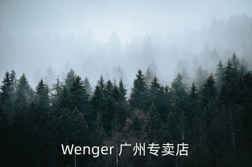 廣州哪兒有新秀麗經(jīng)銷商，廣州桂花崗有沒有新秀麗拉桿箱批發(fā)