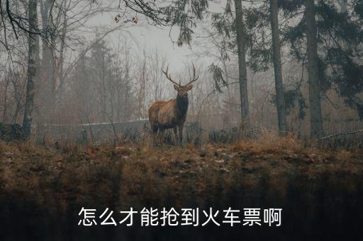 怎么才能搶到火車票啊
