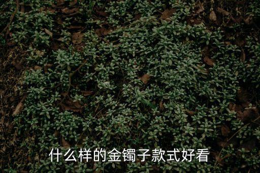 什么樣的金鐲子款式好看