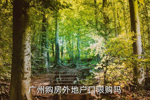 廣州鳳凰城限購么，廣州購房外地戶口限購嗎