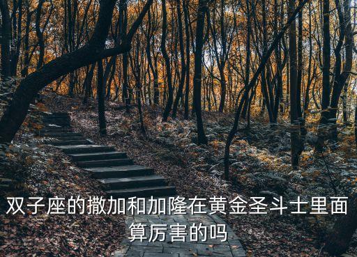 雙子座黃金圣斗士，為什么不把加隆算到黃金圣斗士里他也是雙子座而且也是最帥的