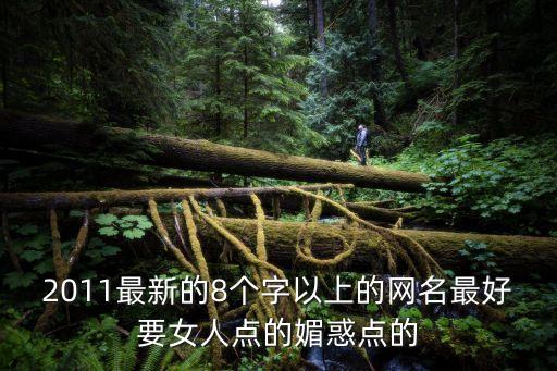 2011最新的8個字以上的網名最好要女人點的媚惑點的