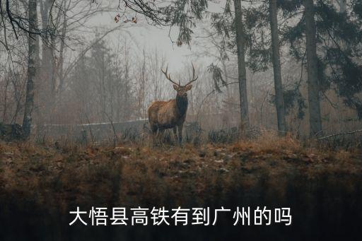 大悟縣到廣州南，請問孝感大悟縣有到廣州大的大巴車嗎分別是幾點的車費多少