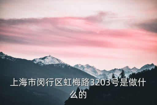 上海市閔行區虹梅路3203號是做什么的