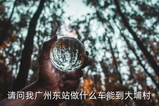 廣州東站去大埔汽車站時(shí)刻表，廣州到梅州大埔到哪乘車車費(fèi)是多少時(shí)間表