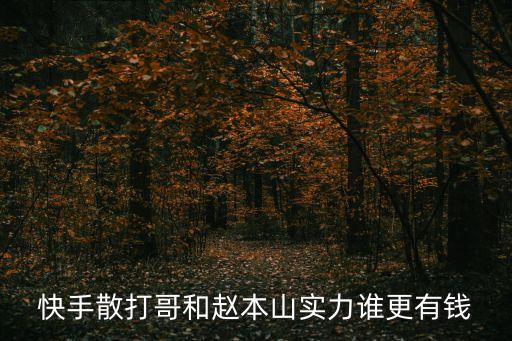 散打哥在廣州有幾套房，快手散打哥住在金沙洲哪個別墅區(qū)