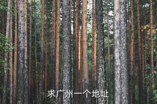 求廣州一個地址