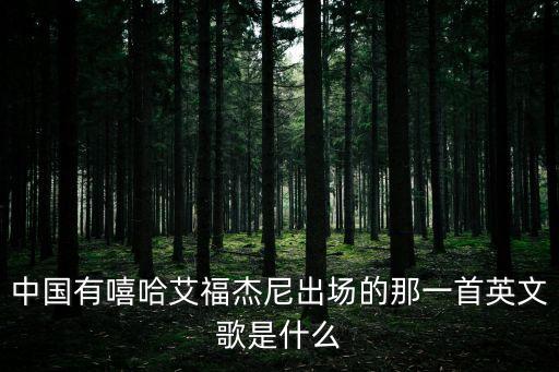 brantb小白，中國有嘻哈艾福杰尼出場的那一首英文歌是什么
