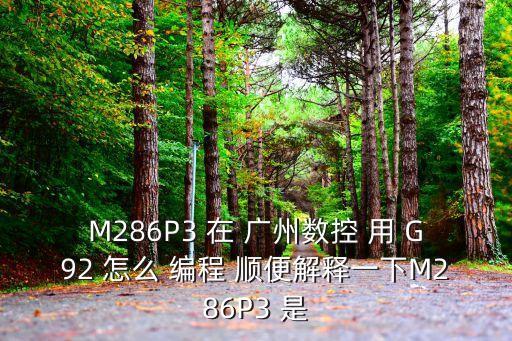 M286P3 在 廣州數控 用 G92 怎么 編程 順便解釋一下M286P3 是