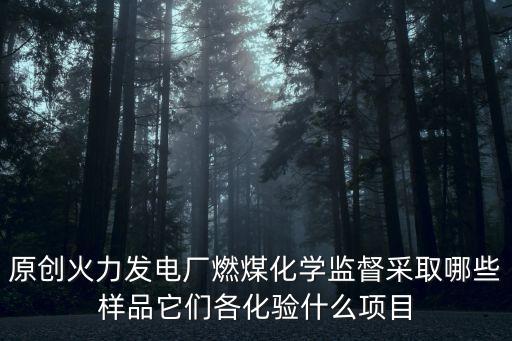 原創火力發電廠燃煤化學監督采取哪些樣品它們各化驗什么項目