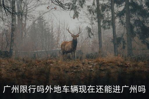 廣州市現(xiàn)在能進(jìn)出嗎，現(xiàn)在外地私家車輛還能不能進(jìn)入廣州市區(qū)
