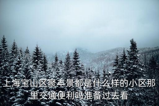 上海寶山區聚豐景都是什么樣的小區那里交通便利嗎準備過去看