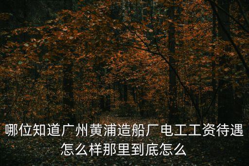 哪位知道廣州黃浦造船廠電工工資待遇怎么樣那里到底怎么