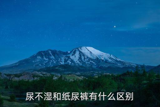 尿不濕和紙尿褲有什么區別