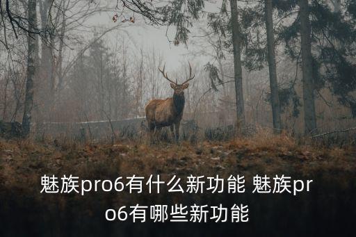 魅族pro6有什么新功能 魅族pro6有哪些新功能