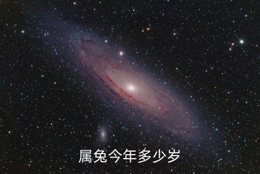 屬兔今年多少歲