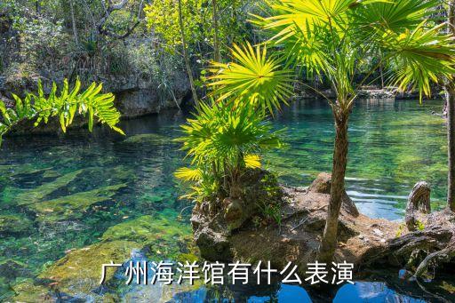 廣州海洋館有什么表演