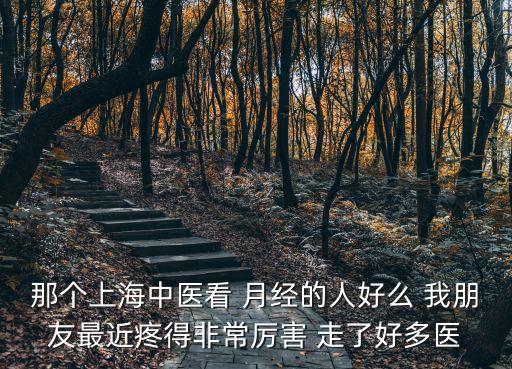 那個上海中醫(yī)看 月經(jīng)的人好么 我朋友最近疼得非常厲害 走了好多醫(yī)