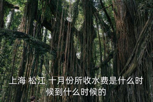 上海市水費繳納日期怎么算，上海水電費是2月一交還是1月一交