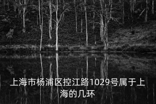 上海市楊浦區控江路1029號屬于上海的幾環
