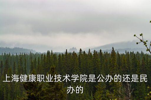 上海健康職業技術學院是公辦的還是民辦的