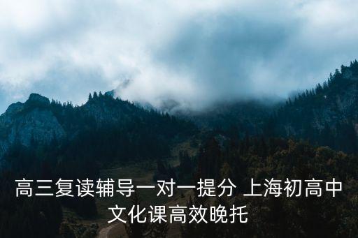 高三復讀輔導一對一提分 上海初高中文化課高效晚托
